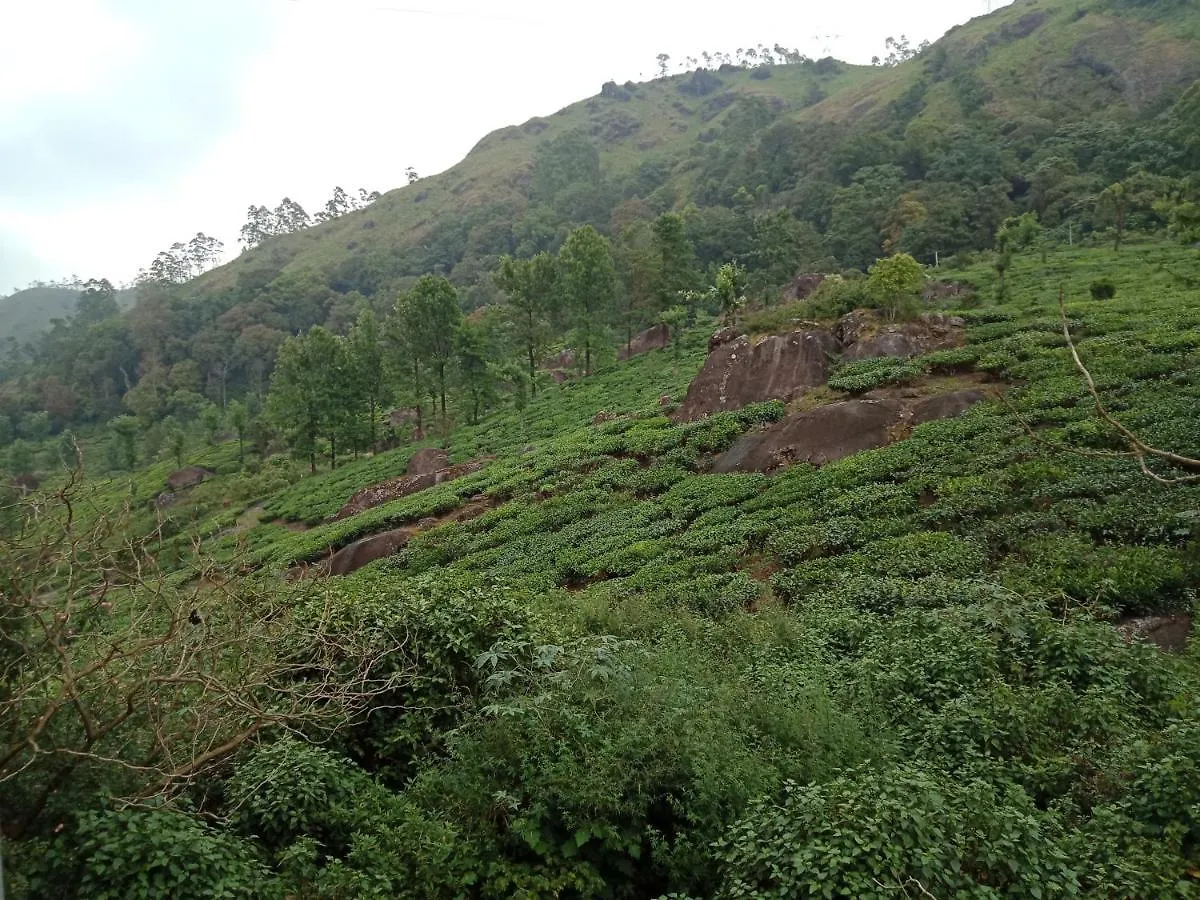 Homestay Tea Dale - All Rooms With Tea Estate View Munnar India