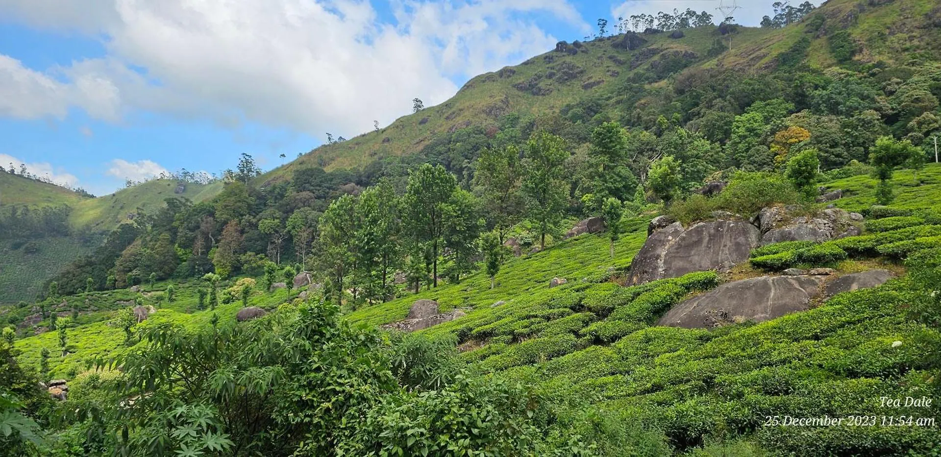 Tea Dale - All Rooms With Tea Estate View Munnar 0*,