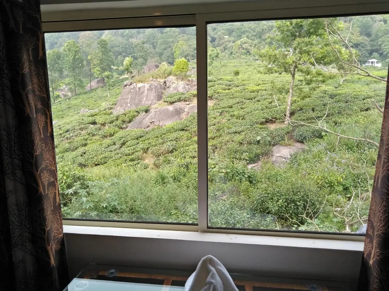 Tea Dale - All Rooms With Tea Estate View Munnar