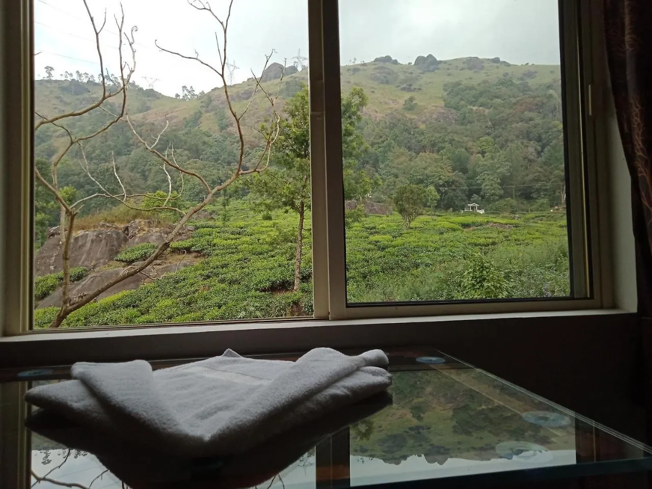 Homestay Tea Dale - All Rooms With Tea Estate View Munnar