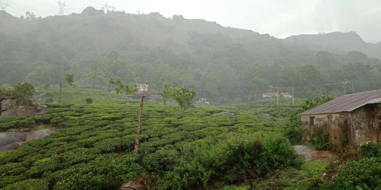 Homestay Tea Dale - All Rooms With Tea Estate View Munnar
