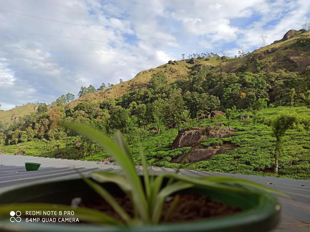 Homestay Tea Dale - All Rooms With Tea Estate View Munnar
